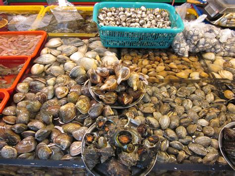  Veined Clams!  A Glimpse into These Bivalves' Fascinating World of Sediment Sifting and Tidal Rhythms